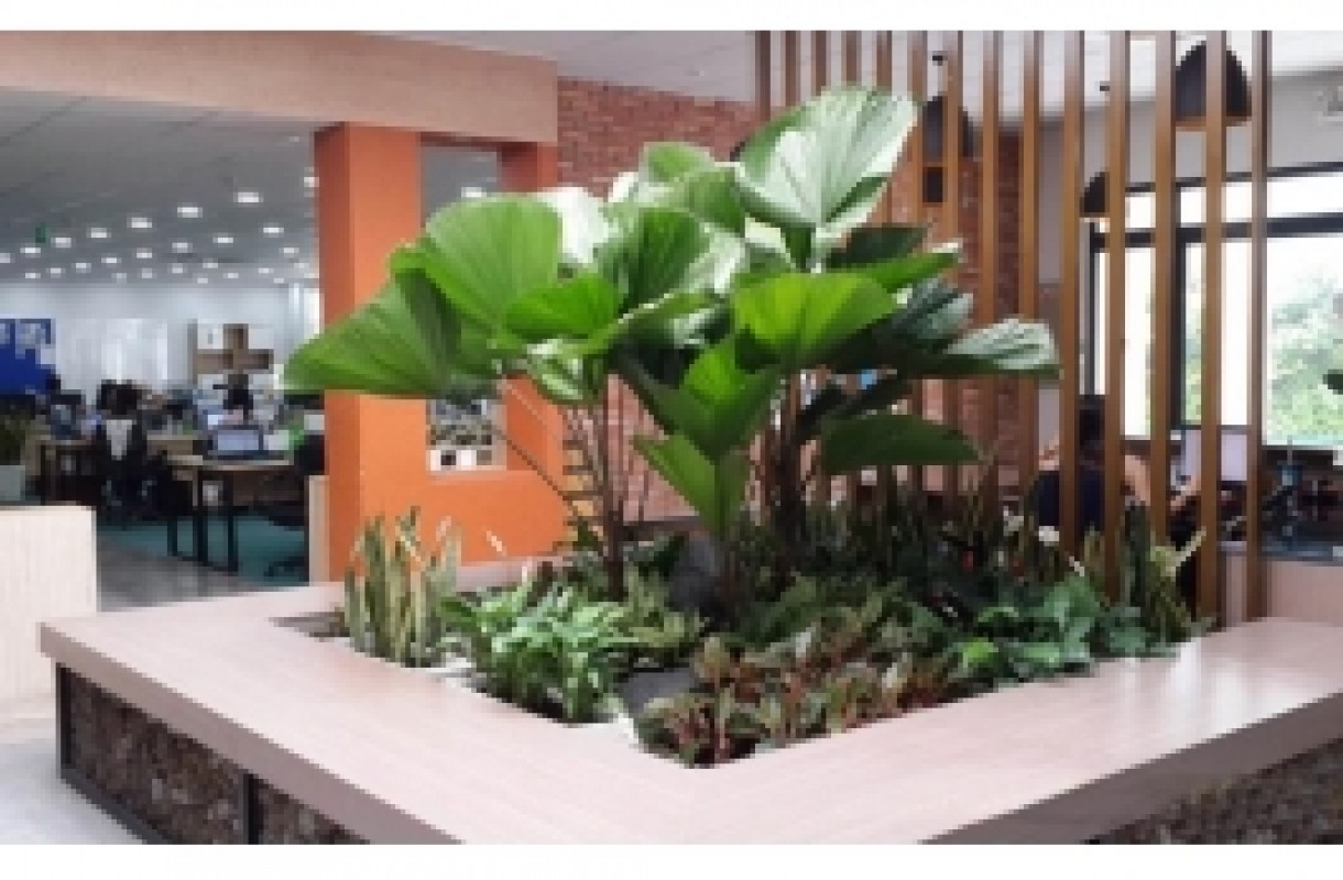 HÀI HOÀ – THỐNG NHẤT: BỐ CỤC PHONG THUỶ TRONG THIẾT KẾ NỘI THẤT VĂN PHÒNG 2